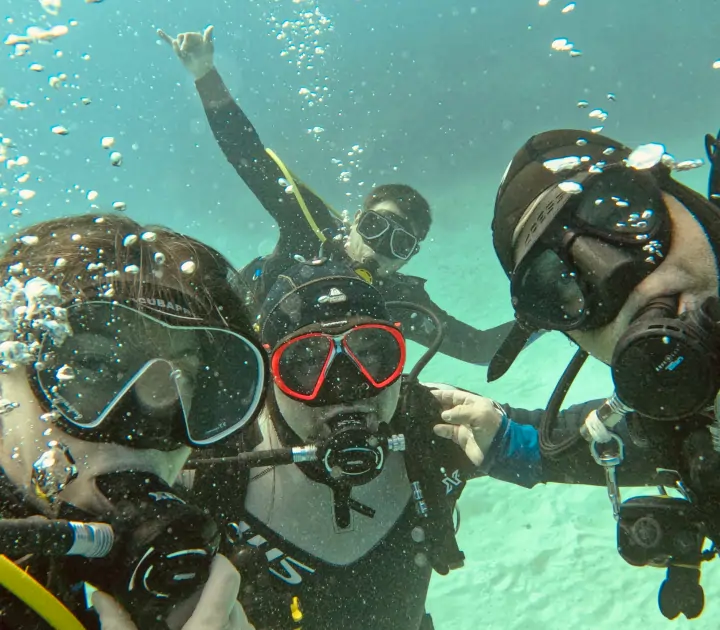 Divers at the open water dives
