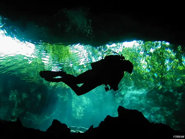 Buceo en Cenote Chac Mool: La Experiencia “Todo en Uno” para Buzos Certificados
